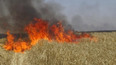 جندوبة: السيطرة على حريق أتى على أكثر من 4 هكتارات من القمح والتبن