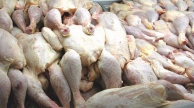 منوبة: حجز 370 كلغ من الدجاج في مسلخ عشوائي
