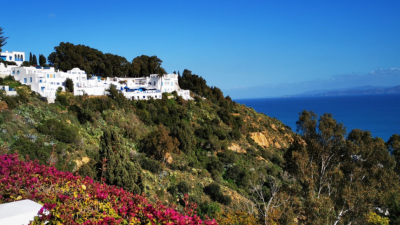 بلدية سيدي بوسعيد: تقرر اخلاء 8 مبان مؤقتا