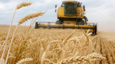 وزير الفلاحة يتابع موسم الحصاد بباجة