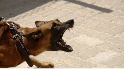 بعد تعرّضه منذ أسابيع لعضّة كلب: وفاة طفل بالقيروان